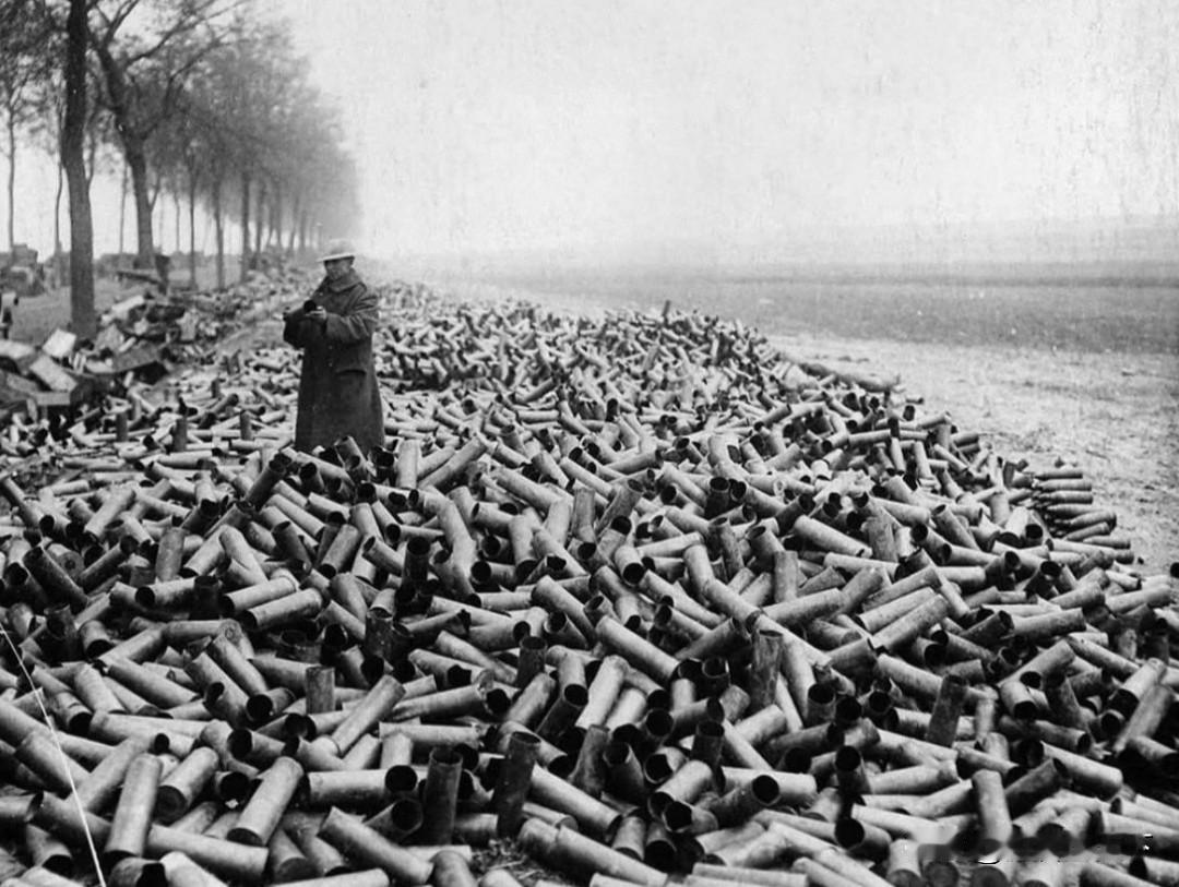 1917年7月，东亚和西欧同时发生了两场大规模战役。东亚这边是张勋率领的辫子军