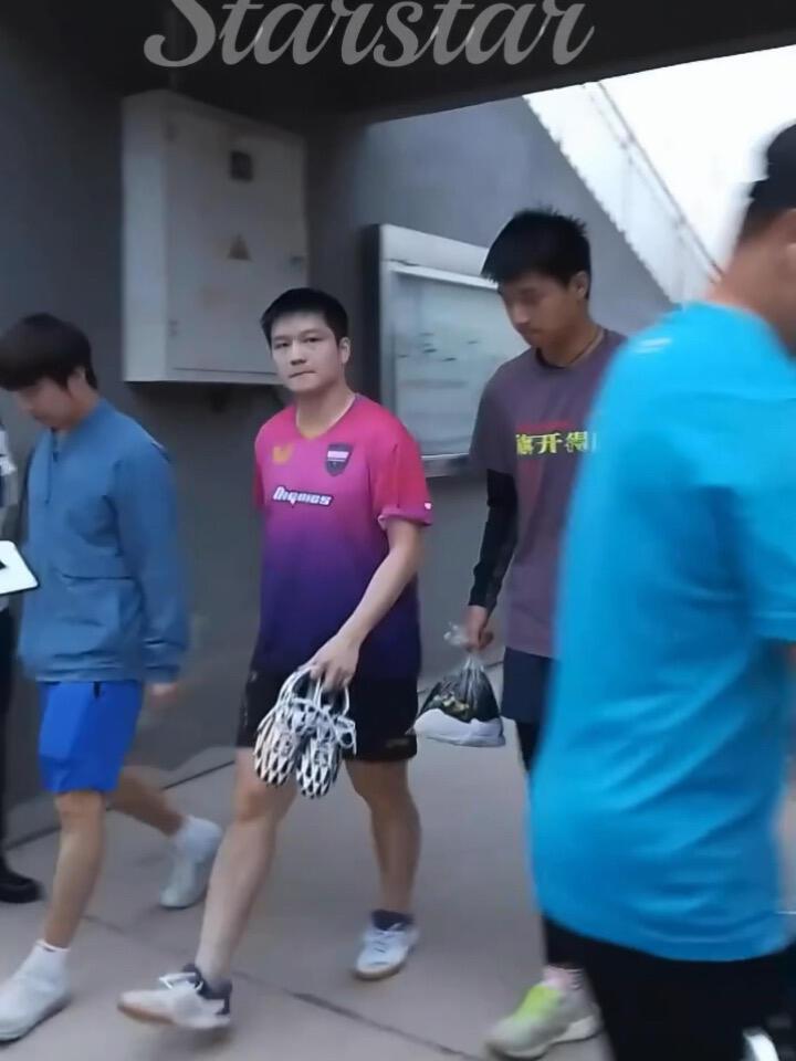 樊振东穿着粉紫色训练服，第一次见粉色！这件衣服绝版了，很难见到了，训练服很惊艳