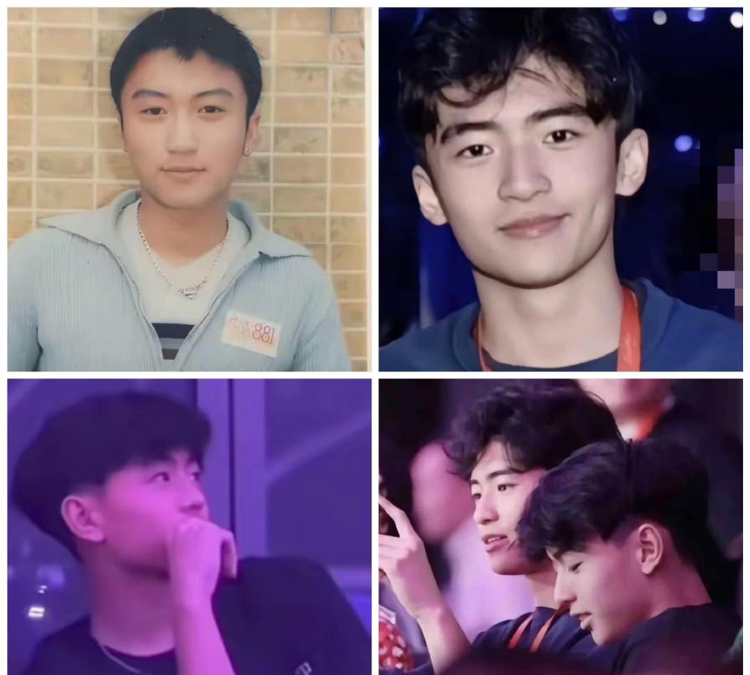 17岁时的谢霆锋和他17岁的儿子，在一些人看来，在形象气质等方面能看到张柏芝的影