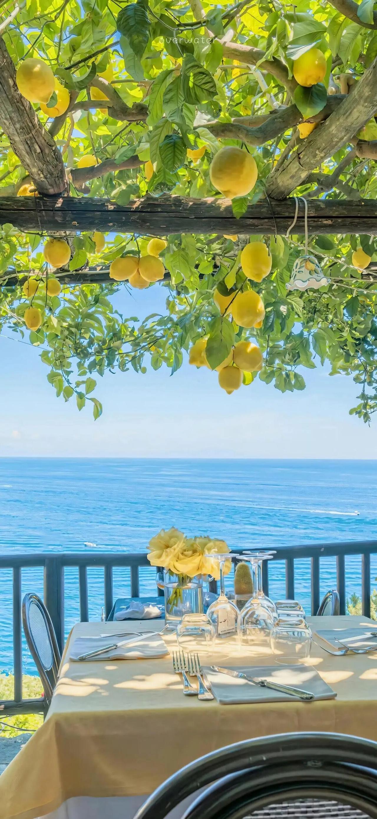 我想跟我前夫复合，我后悔跟他分开了，但他现在有女朋友了，是不是只要他还没有结婚，