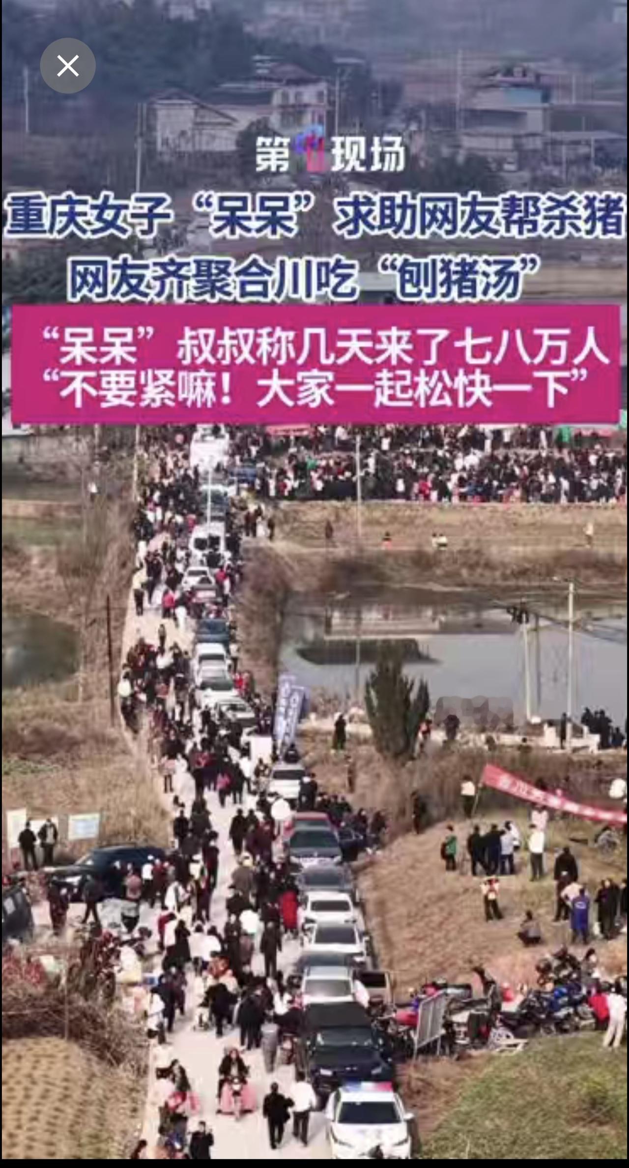 重庆女子“呆呆”求助网友帮杀猪，网友齐聚合川吃