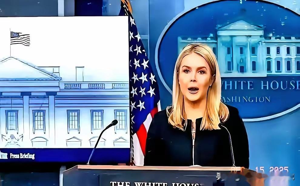 美国人拿着芯片说，卖给你。我们说，不要。然后，他们就懵了。白宫的人出来说