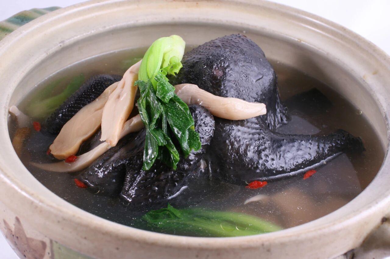 选乌鸡还是普通鸡？其实乌鸡肉和普通鸡肉差别挺明显的，先说说外观和口感，乌鸡从