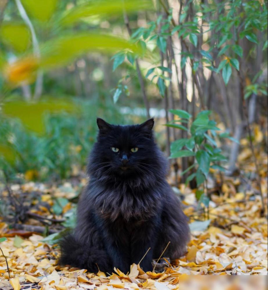 女人默许“发生关系”，往往不会明说，但这些“信号”很明显，其实男女交往中，那