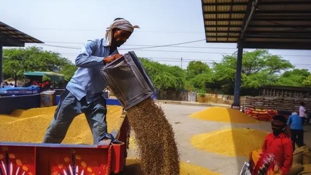 印度给其他国家上了一课！明明国土面积只有中国的三分之一，粮食产量还不足中国的一半