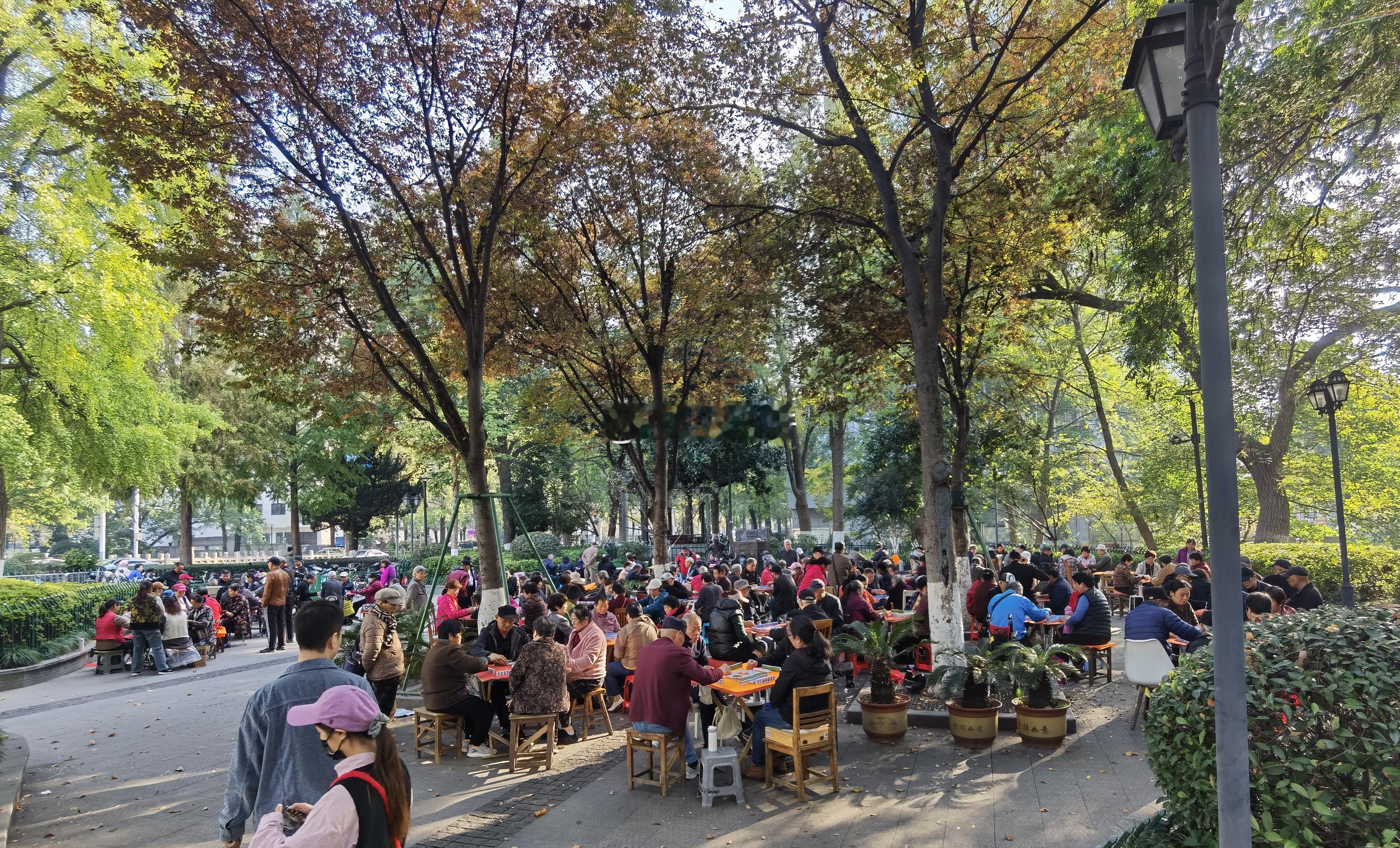 南京街头的这幅景象，让我以为自己来到了成都。