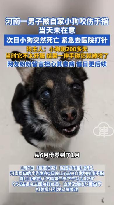 河南，一男子被自家狗子咬伤手指后没在意，结果第二天狗子突然身亡，吓得男子赶紧到医