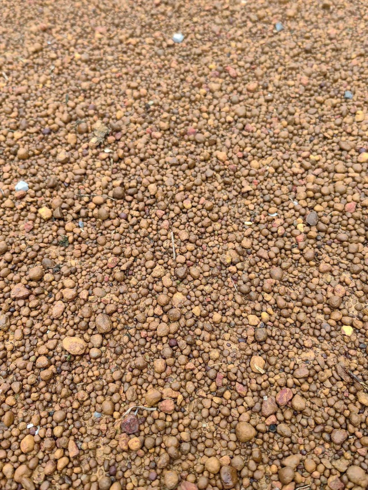 这种果地种出来的沃柑会不会更好吃。🍊为什么这种土能种出更好吃的沃柑？1. 