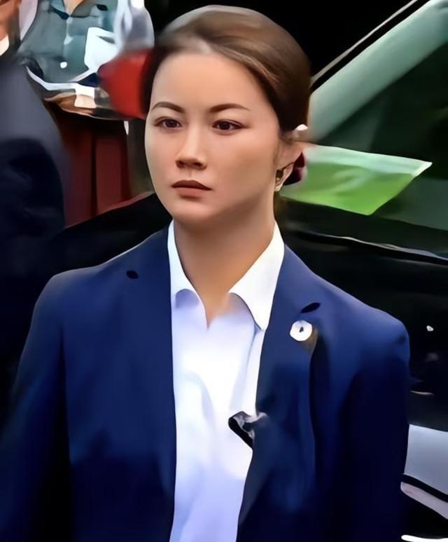 郑丽文从大陆回去后，在节目里絮絮叨叨念叨的，居然不是什么大好河山，而是大陆的安保