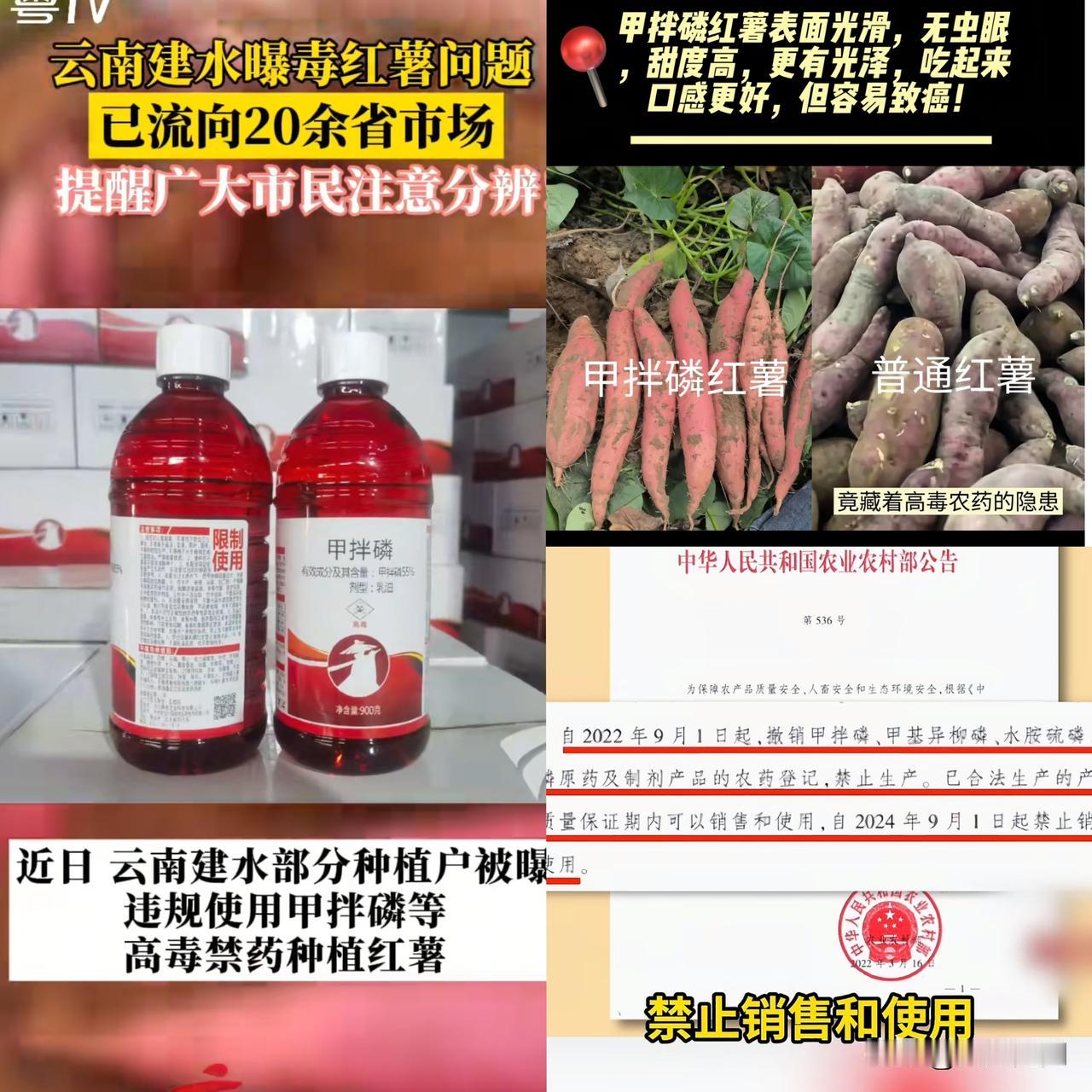 云南建水的红薯扒开了人性的皮。​最让人脊背发凉的，根本不是农残超标，而是那两