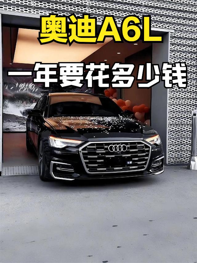 奥迪A6L这种C级车，可能很多人觉得现在车价便宜了，就果断贷款买了，但之后的养车