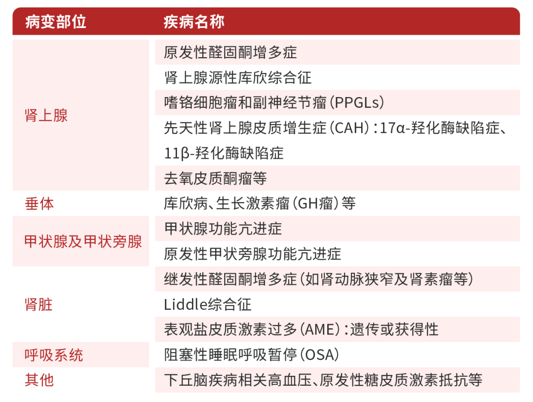 最新共识: 建议所有高血压患者筛查这种内分泌疾病