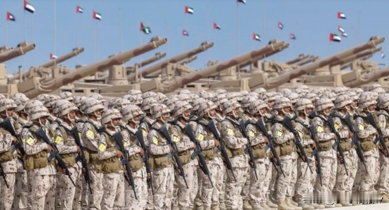 根据网络上的数据，阿布扎比陆军总兵力约为44000人（4.4万人）编为2个装甲旅