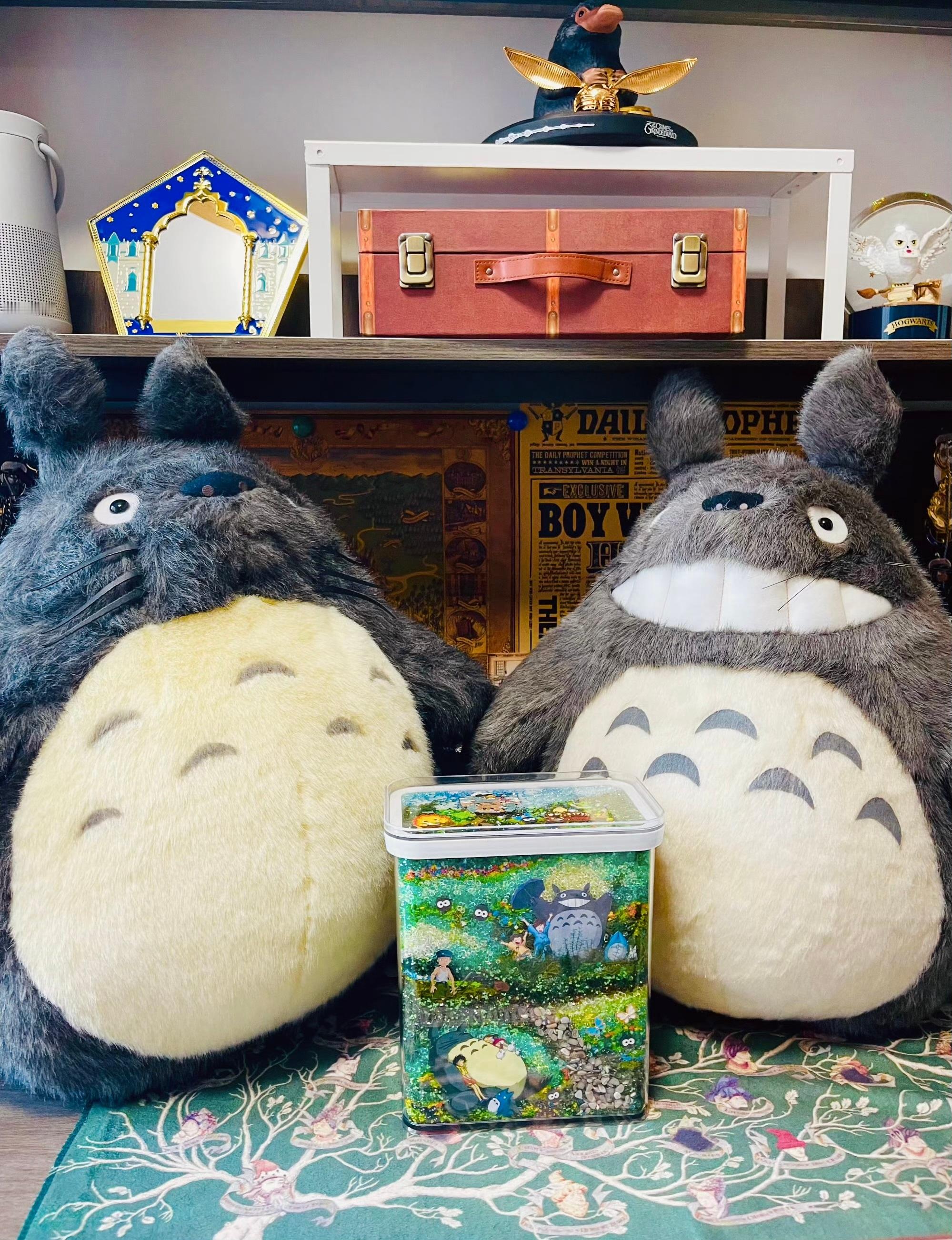 你买过体积最大的公仔是什么？我先说，宫崎骏的龙猫（60cm）！​​​