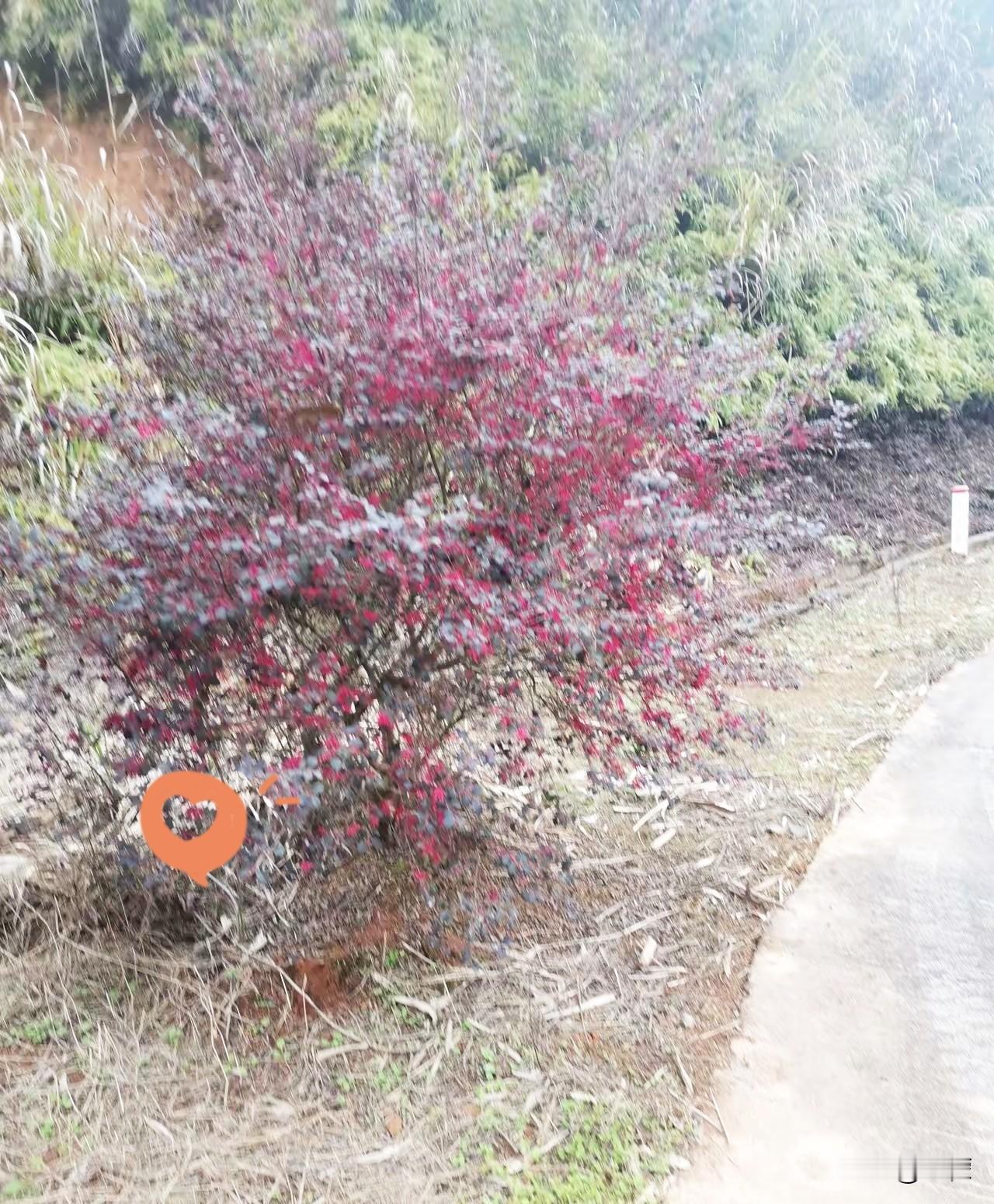 我是不是心理有问题了？我是1963年的，今年63岁。年轻时候就不善言辞，也不