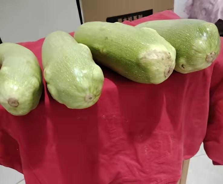 河北沧州杨女士花5块钱在路边流动菜摊买了5个西葫芦，当场炒了一个又脆又嫩。剩下4