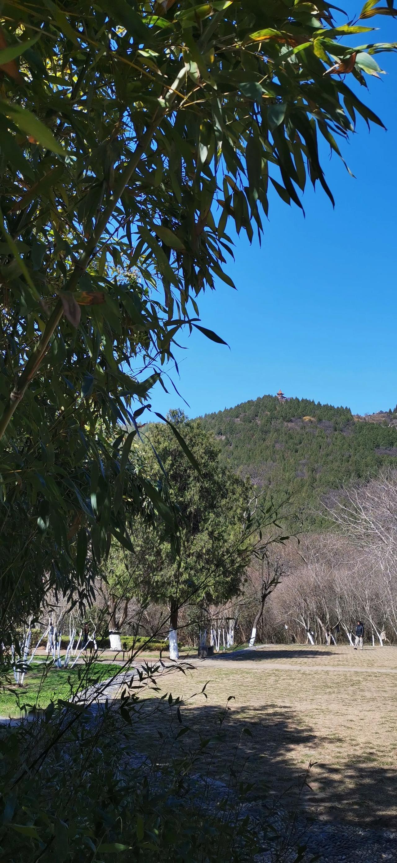 随拍美丽风景。