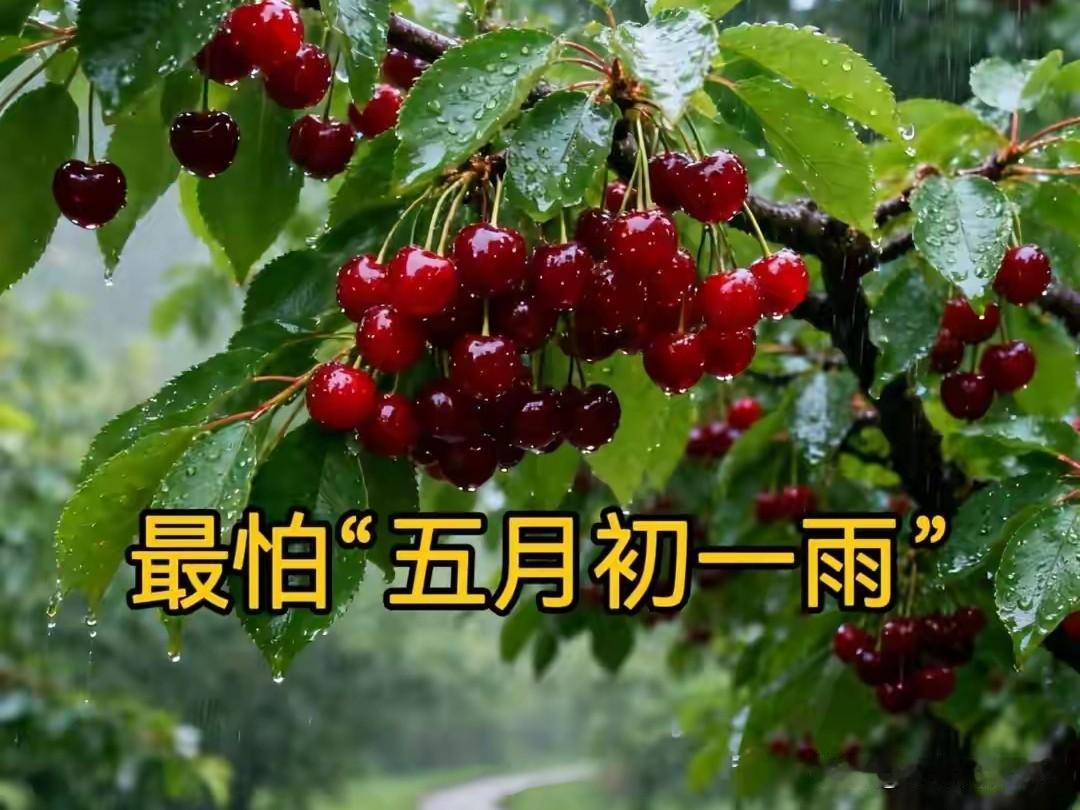 明日五月初一，老人说最怕“五月初一雨”，五月初一下雨啥预兆？早看早准备明天