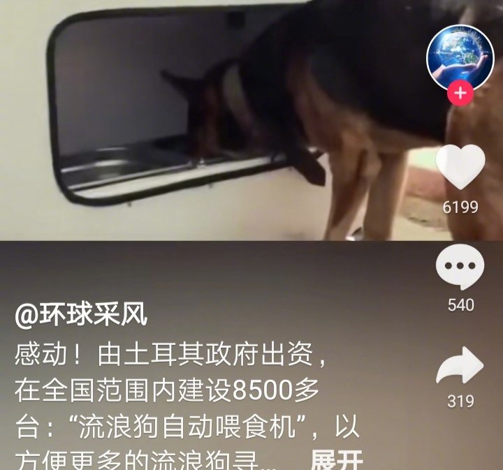 这是由土耳其政府出资，在全国设立了8500个流浪狗自动喂食机，可以方便很多流浪狗