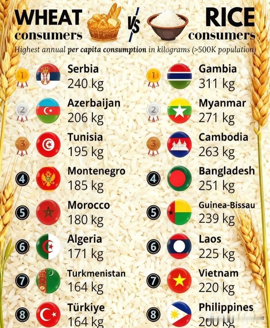 小麦vs大米：全球主粮消费概览本信息图展示了人口超过50万国家的年度