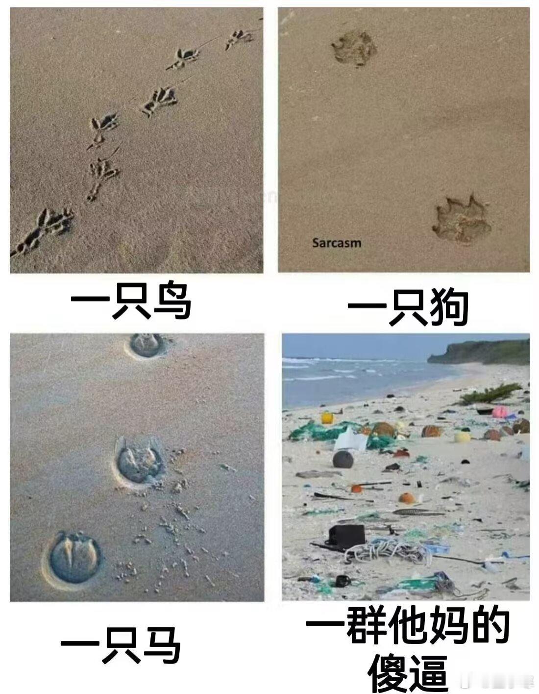 分享图片​​​