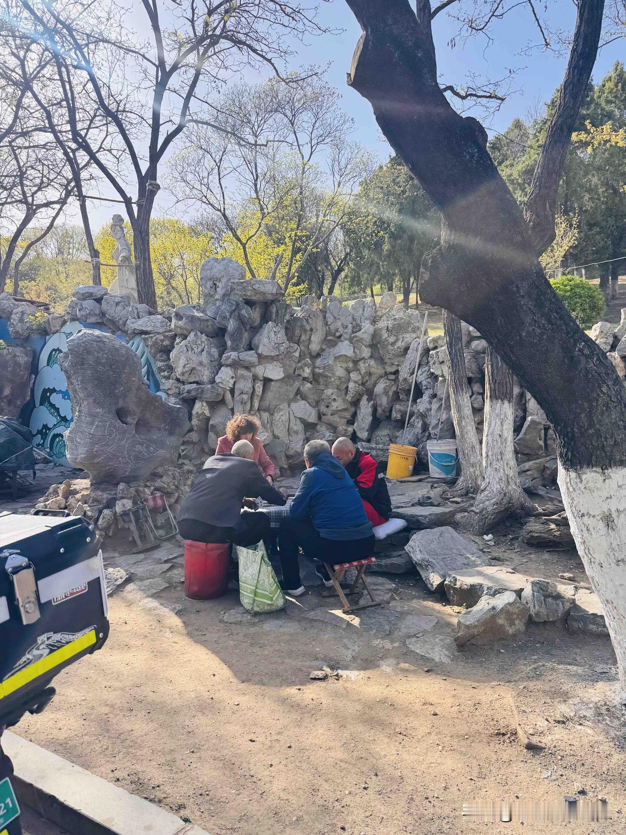 又是躺平摆烂的一天。我是61岁的小老太太，退休后一直在家躺平。退休后因为