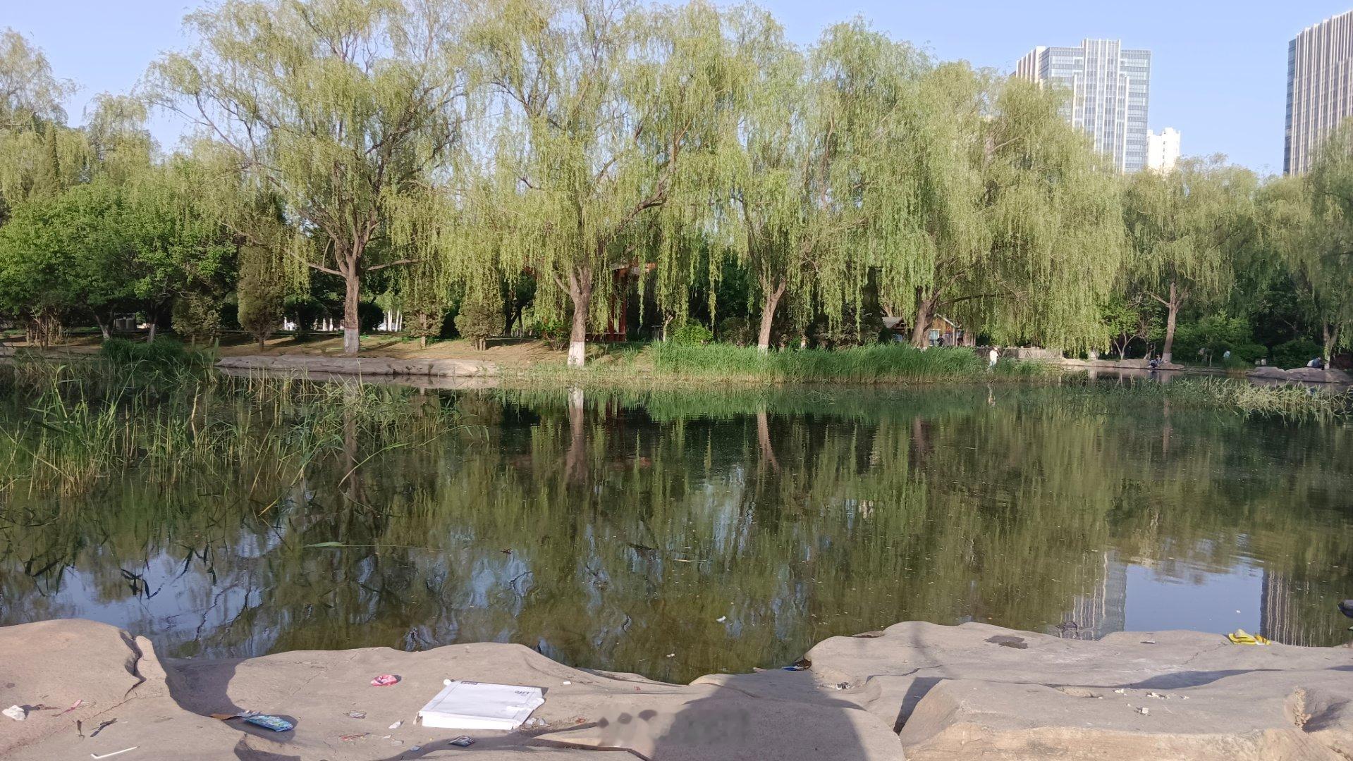 随手拍美景就说这个我们包头市的这个植物园现在是彻底放弃管理了吗？我的天啊！这满