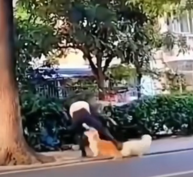 这个女人，绝对是单身狗她是在吃醋