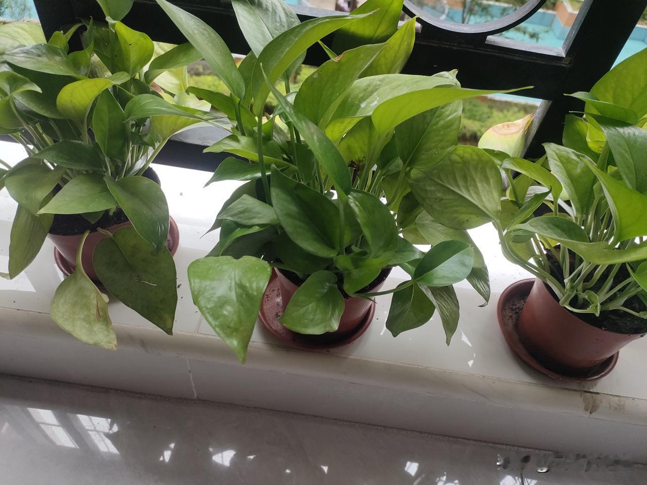 对我来说，幸福从来不是什么遥不可及的大目标，而是散落在日子里的那些细碎又温暖的瞬