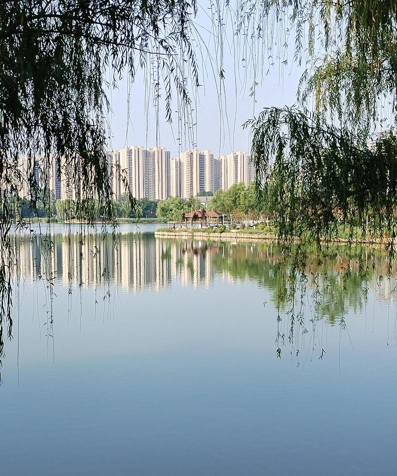 领导的朋友圈最近认识了一位处级领导，退休前是市里的一个局长。早晚遛弯常常见面，