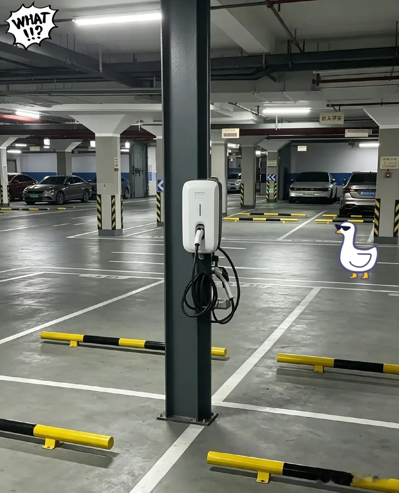 开电车的人，这下睡着都要笑醒了，8月1日起，将要强制实行的新规定已经落地：