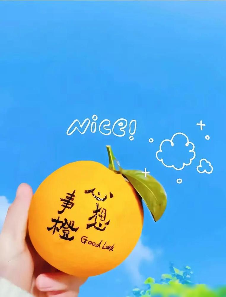 农历六月初六谚语🍎🍎以前我年轻的时候总觉得这些老辈传的农谚都是过时的老黄