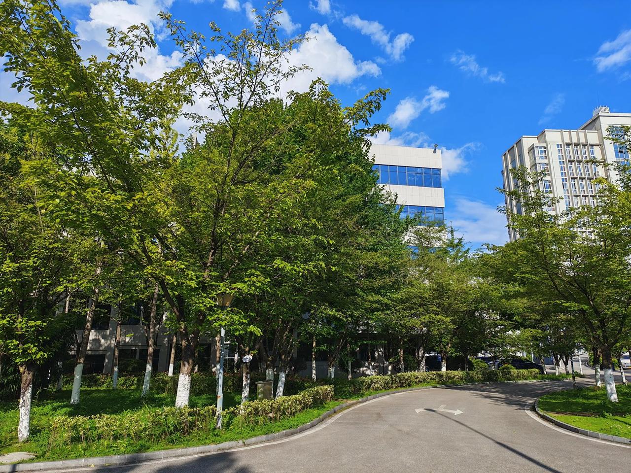 【退居二线了，就要学会接受冷眼】很多退居二线的老同志去县里调研，总要摆出一副来自