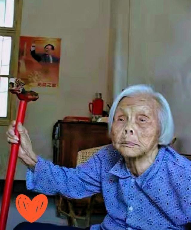 1933年，主席躲进农妇家。没想到，敌人搜查时，农妇却说：“你们要找的人，在我家