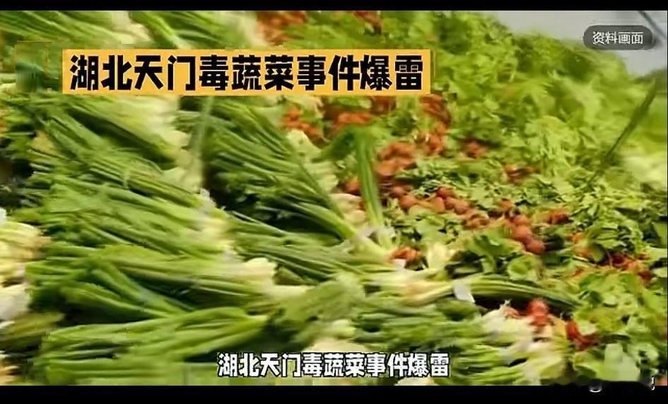 高价买漂亮的“毒”蔬菜？湖北天门的毒蔬菜暴雷了！胖东来的含金量持续上升。