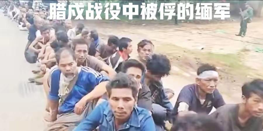 11月15日，果敢同盟军在腊戌北部的贺北村释放了202名缅军俘虏。这些俘虏是“1