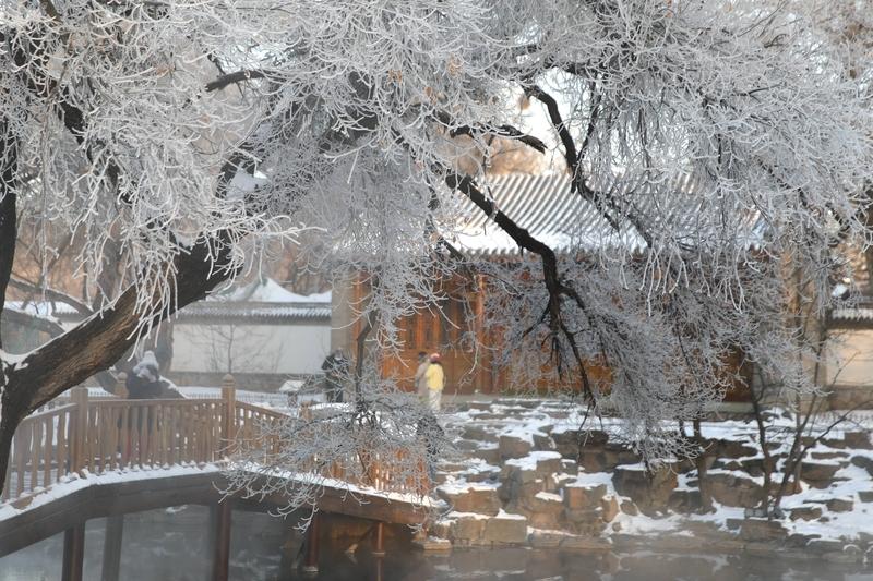寒冬时节，预防心脑血管疾病可不能掉以轻心。我身边就有老人冬天没注意，突发脑梗住院