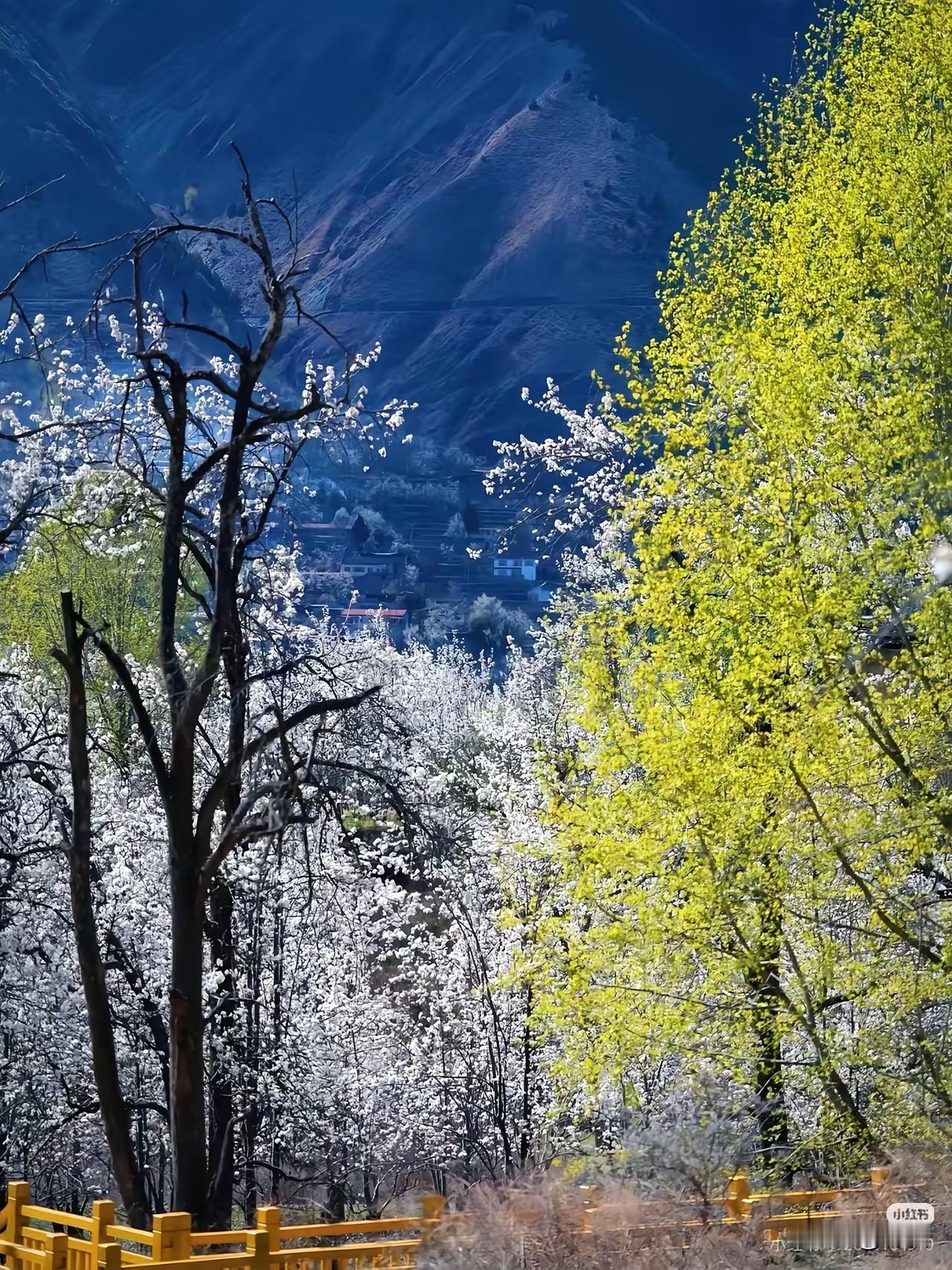 人体最好的保护伞一、免疫系统：人体自带的“全能防卫军”1. 第一道防线