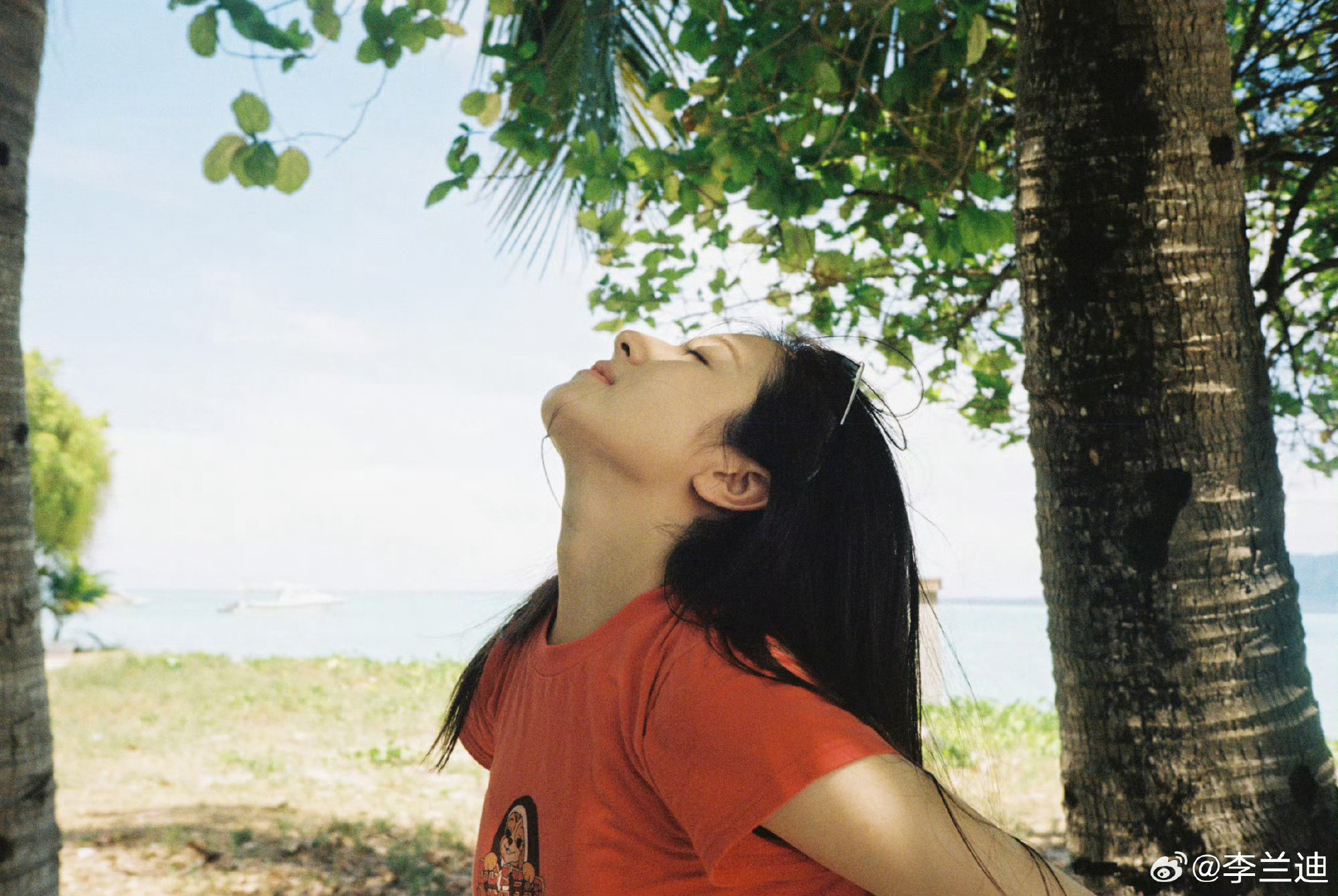 李兰迪今日更新🥥🌴夏天就要看点清爽的～
