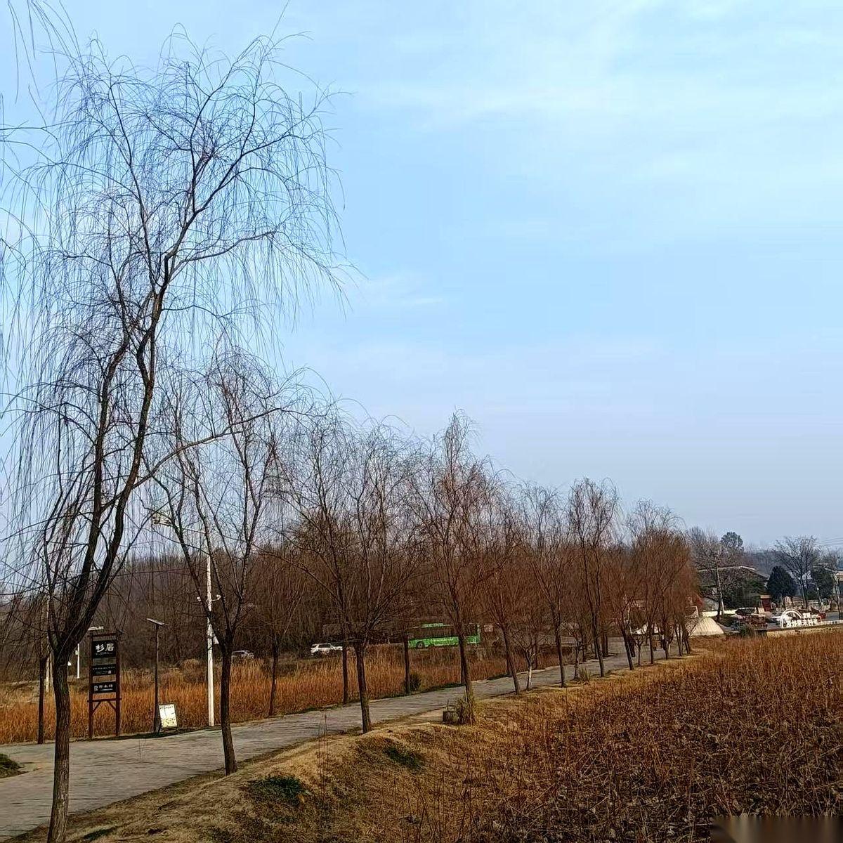 我妈出殡那天，村里人都看呆了。十几个大小伙子，清一色，是我堂哥，齐刷刷地给我妈