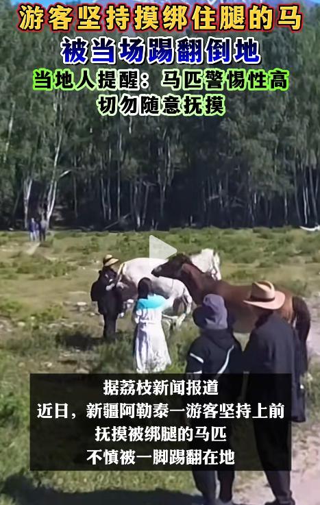 万万没想到！新疆阿勒泰，一名女游客靠近被绑腿的马，坚持伸手抚摸，下一秒竟被后蹄一