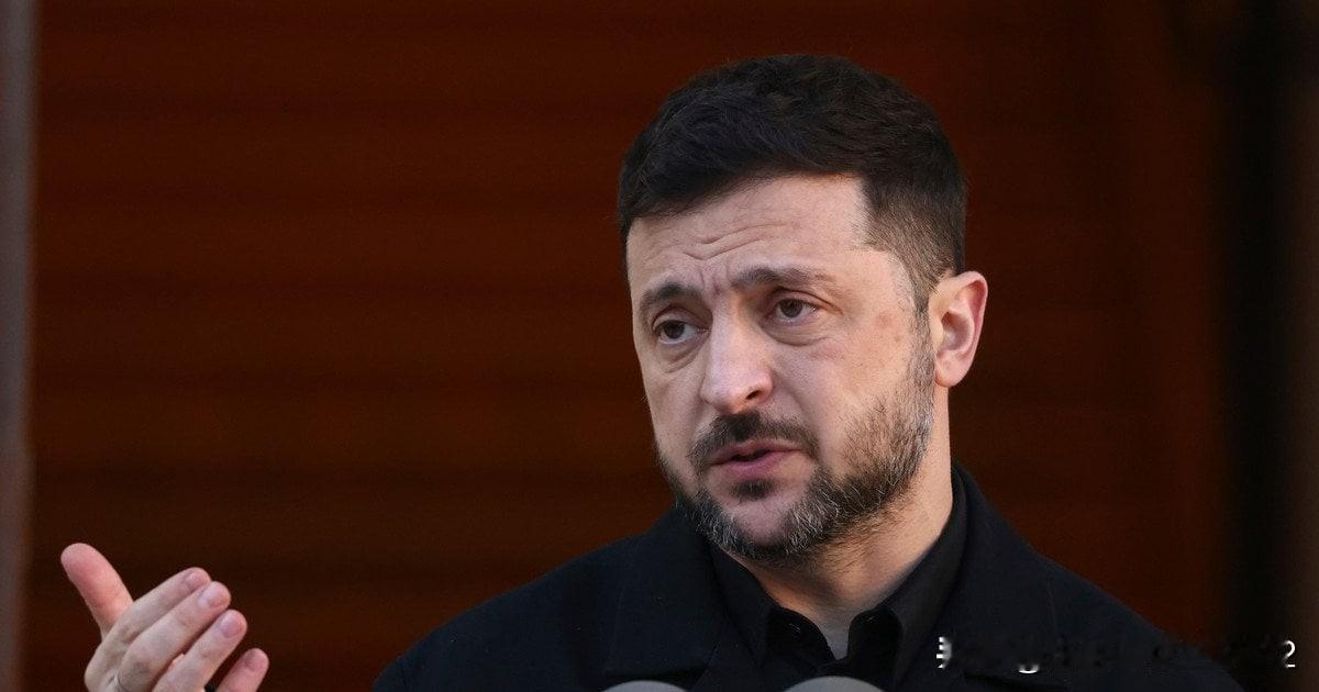 泽连斯基透露了与美国和俄罗斯谈判的细节：详情乌克兰总统泽连斯基证实，乌克兰