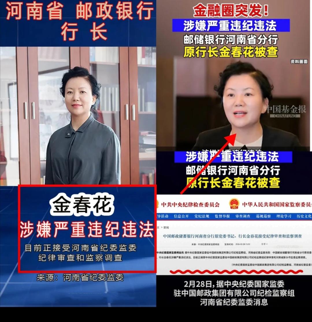 金融圈又震惊了！看来金融反腐越来越严了，谁也别心存侥幸。就下近日河南省邮