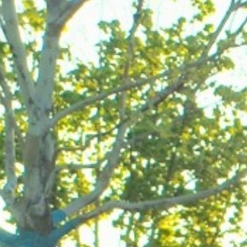 保持阳光心态，积极面对人生。每个人，都沿着不同的轨道在活着，人生是一趟单程车，我