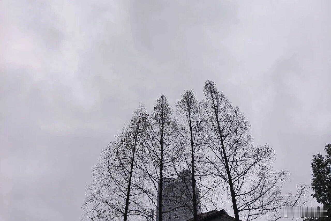 湿哒哒未来一周，上海人要迎来一段“湿哒哒”的日子。阳光不见，雨水几乎每天“串场”