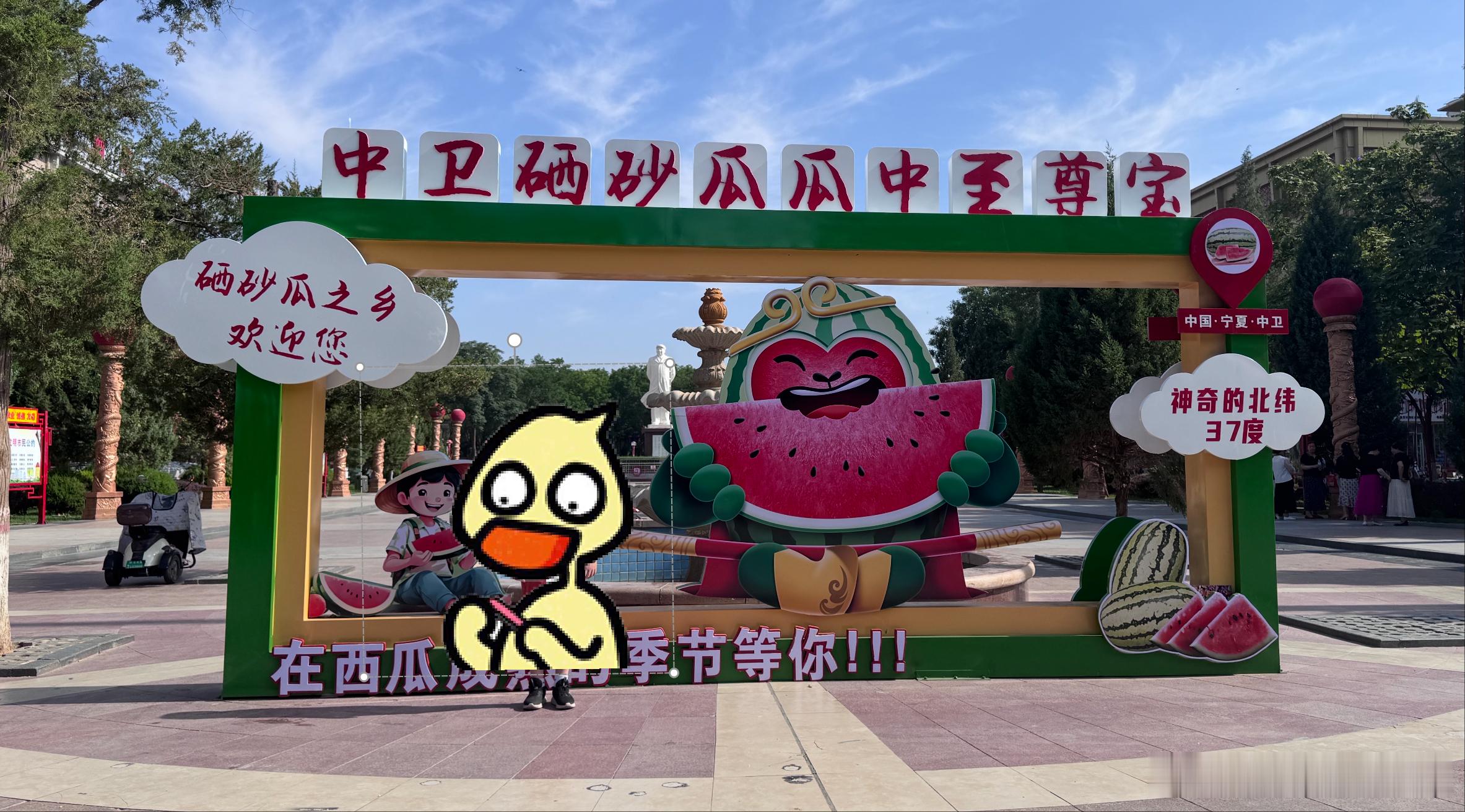 抠抠搜搜8年抠了49万唉...有时候第一性原理不太管用。举个西瓜的例子。前几