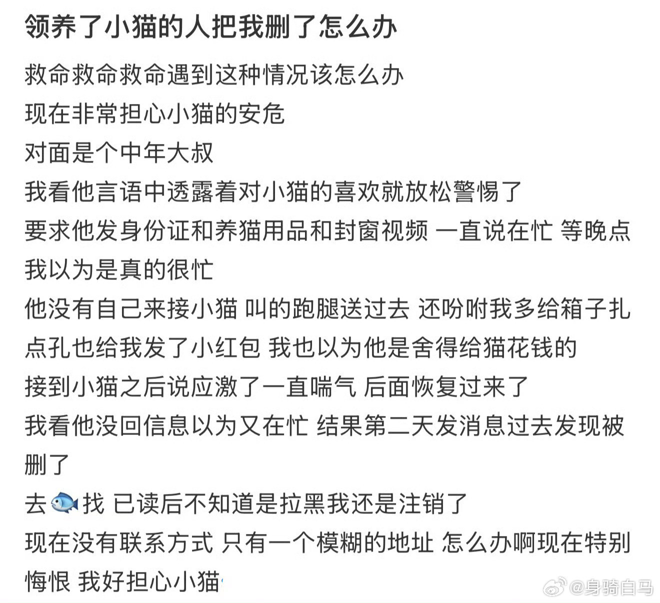 领养了小猫的人把我删了怎么办