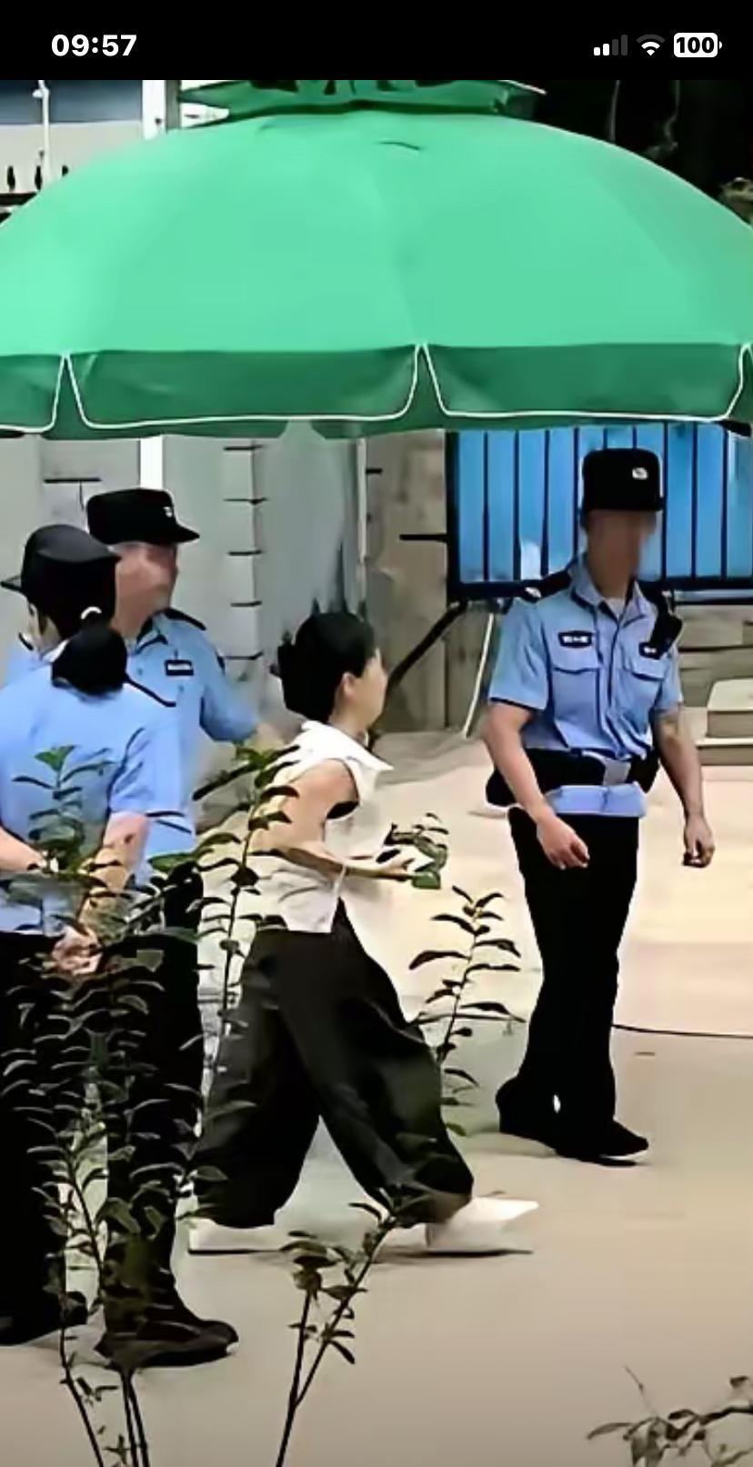 这三寸身材能嫁进善良家真是烧高香了、在fating上，一句句姚师兵，许敏，这素质