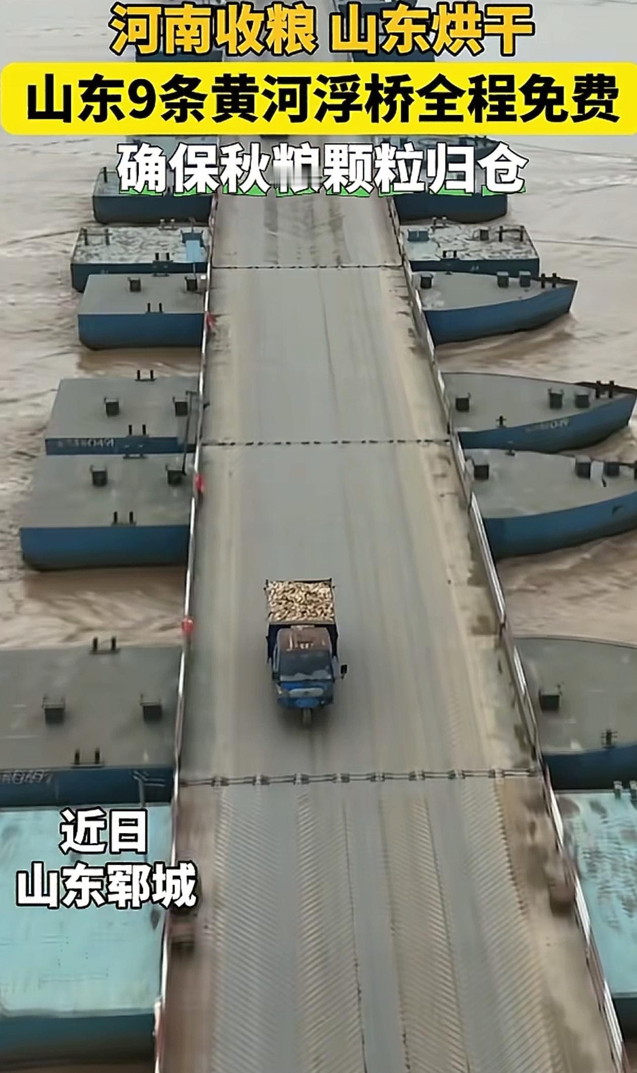 “山东又责任心泛滥了！”山东郓城，隔壁河南连日阴雨，眼看着粮食要晒不干，山东大手