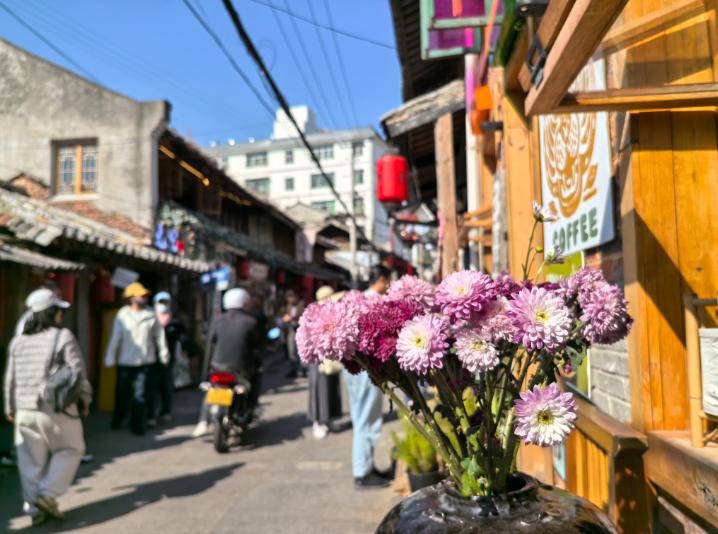 我在网上看到越来越多的年轻人大学毕业之后，回到老家的县城，乡镇，甚至是农村，回去